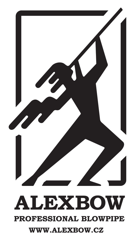 $data['details']['name']